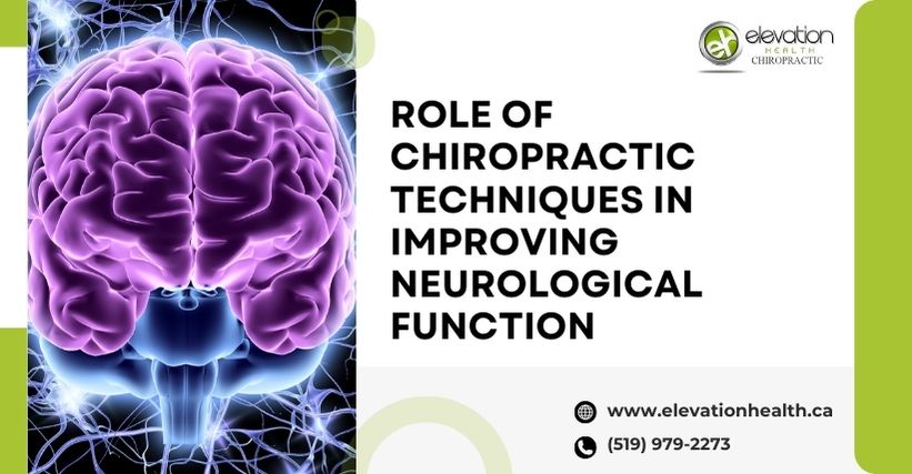 Role Of Chiropractic Techniques In Improving Neurological Function