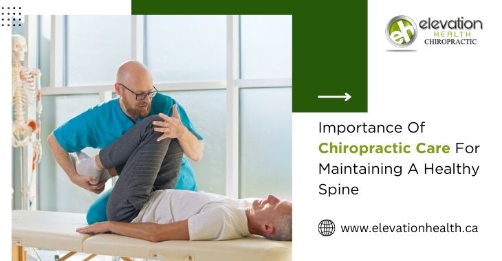 Importance Of Chiropractic Care For Maintaining A Healthy Spine