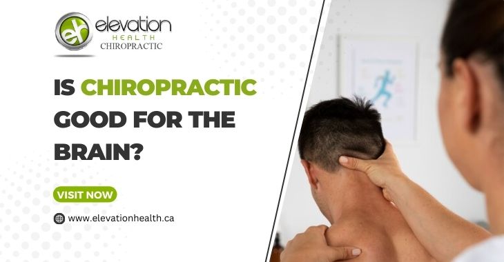 Is Chiropractic Good For The Brain?