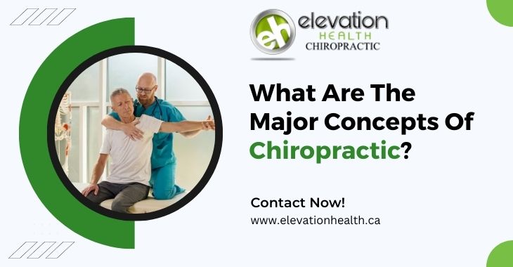 What Are The Major Concepts Of Chiropractic?