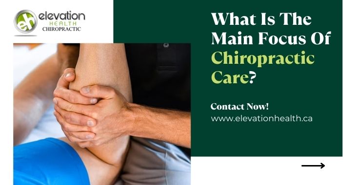 What Is The Main Focus Of Chiropractic Care?