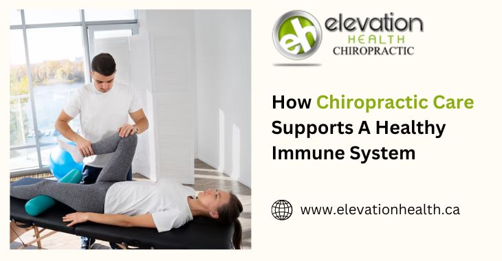 How Chiropractic Care Supports A Healthy Immune System